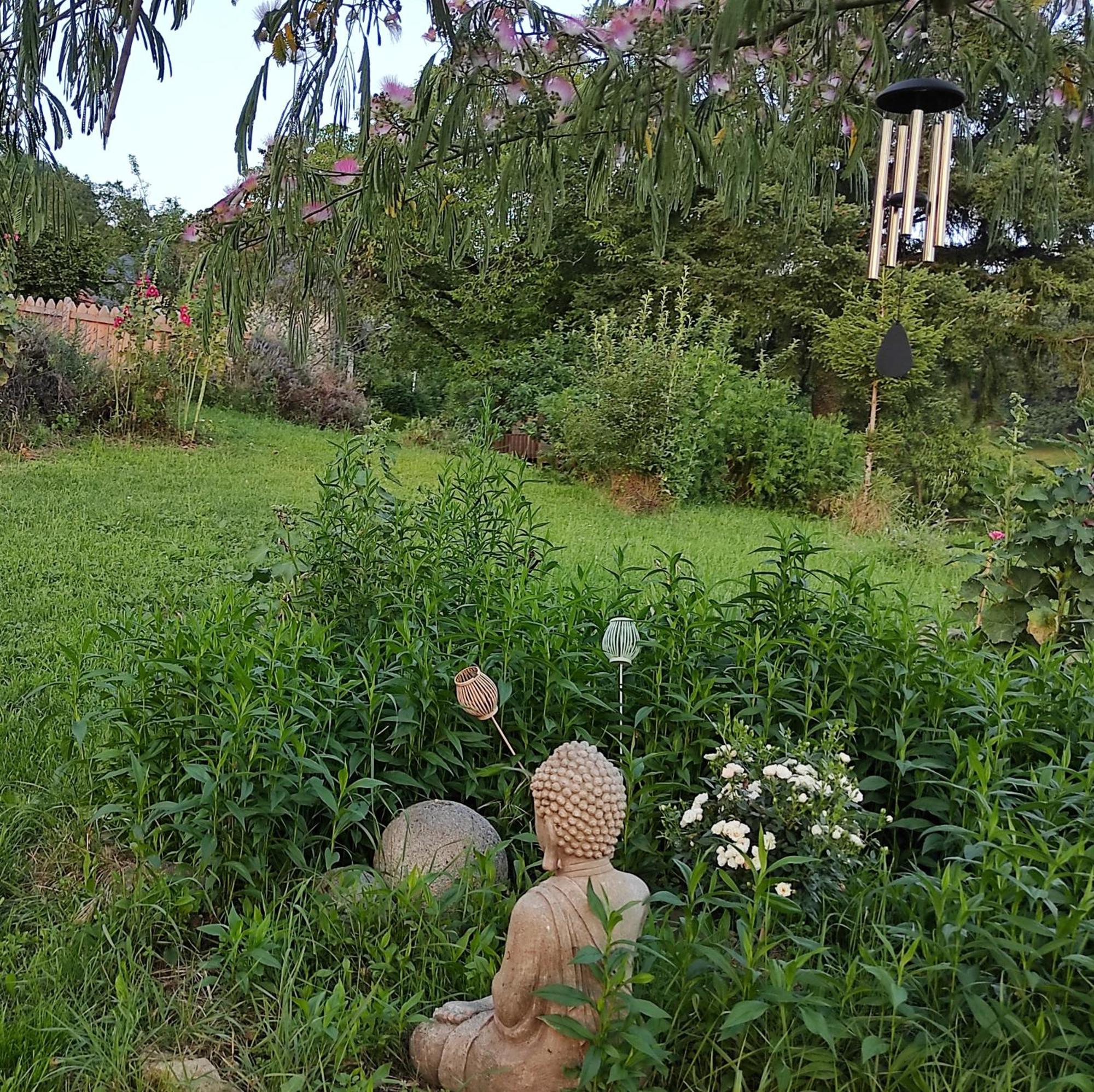 Bout De Cote Bed and Breakfast Lacam-dʼOurcet Εξωτερικό φωτογραφία